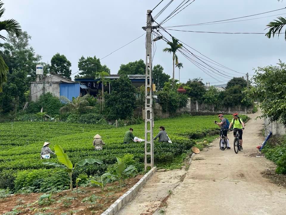 Vietnam Cycling Tour of the Red River Delta 4 Days